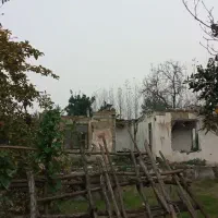 فروش زمین قیمت مناسب|فروش زمین و ملک کلنگی|تولم شهر, |دیوار