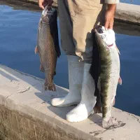 نگهبانی در پرورش ماهی|استخدام سرایداری و نظافت|انگوران, |دیوار