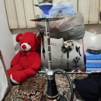قلیون کرنو|کلکسیون و سرگرمی|قم, آذر (نکویی)|دیوار