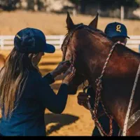 آموزش سوار کاری