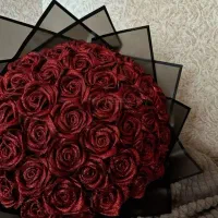 گل روبانی ماهلین