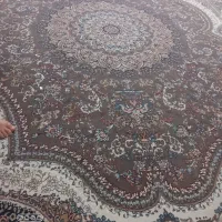 قالی ۱۲متری این شکلی