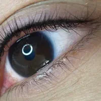 تخفیف ویژه شیدینگ لب  و بن مژه چشم|خدمات آرایشگری و زیبایی|بوشهر, |دیوار