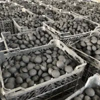 تولیدی ذغال خان باربیکیو