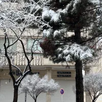 326-متر-دو-کله-7-سقف-رحمانیه-تجاری-خور