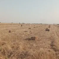کاه .کلش .پرس گندم.سفال .