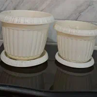 گلدان|گل و گیاه طبیعی|قم, هفت تیر|دیوار