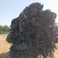 خرید و فروش انواع طیف محمدرضا علیزاده|حراج|اقبالیه, |دیوار