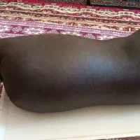 هیزه|لوازم جانبی حیوانات|کوهدشت, |دیوار