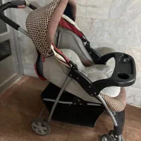 کالسکه|کالسکه و لوازم جانبی|تربتحیدریه, کاشانی|دیوار