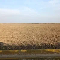 زمین کشاورزی آبی ۱۴ هکتاری