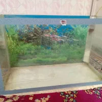 آکواریوم