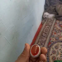 پرتقالی|جواهرات|تربت‌حیدریه, طالقانی|دیوار