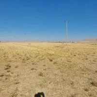 اجاره ۶ هکتار زمین مرغوب جا سیب وگندم|اجارهٔ دفتر صنعتی، کشاورزی، تجاری|قروه, |دیوار