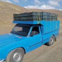 نیسان سایپا کرایه به تمام نقاط