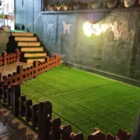 چمن مصنوعی در هرمتراژ/نواری(بین سنگی)|خدمات باغبانی و درختکاری|تهران, شهرک هما|دیوار