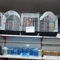 قفس|لوازم جانبی حیوانات|ارومیه, |دیوار