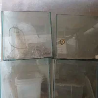 اکواریوم