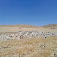 واحد-مرغداری-تخمی