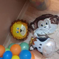 بادکنک تولد|اسباب‌‌بازی|مشهد, امیر|دیوار