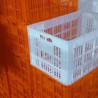 سبد ۲۵ کیلویی|عمدهفروشی|جلفا, |دیوار