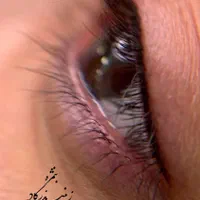 فیبروزبه سبک(کرکی). بنمژه .شیدینگ لب|خدمات آرایشگری و زیبایی|کاشان, زیدی|دیوار