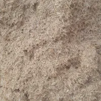 کاه گرگرو|لوازم جانبی حیوانات|کوهدشت, |دیوار