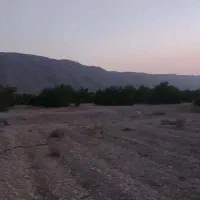 یک موقعیت استثنایی برای صاحب باغ شدن با نصف قیمت|فروش دفتر صنعتی، کشاورزی، تجاری|جهرم, |دیوار