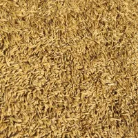 جو دیم|لوازم جانبی حیوانات|چگنی, |دیوار