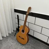 گیتار پارسی m5|گیتار، بیس، امپلیفایر|کازرون, |دیوار