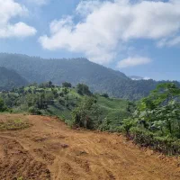 بلندترین نقطه ویو جنگل و دریا و تمام شهرهای با سند