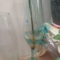 گلدان وتنگ شیشه ای|گل و گیاه طبیعی|تهران, یاخجی آباد|دیوار