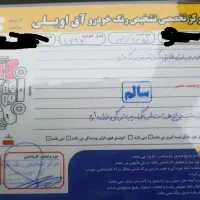 وسایل نقلیه|خودرو سواری و وانت|گنبد کاووس, |دیوار