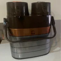 فلاکس دوقلو