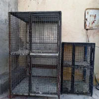 قفس جفتگاه|لوازم جانبی حیوانات|کرمان, |دیوار