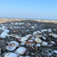 یک نفر خانم جهت منشی دفتر