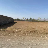 زمین کردان ۳۰۰ متر
