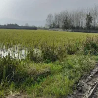 فروش ۲۰۰۰ متر زمین کمربندی آستارا اردبیل