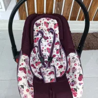 کریر دلیجان