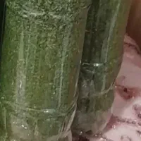 باقالی کشاورزی پاک شده کیلویی ۲۹۰ بادمجون کبابی ۸۰|خوردنی و آشامیدنی|رشت, استقامت ۲|دیوار