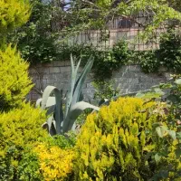 خانه باغ با تمام امکانات سر خیابان اصلی|فروش خانه و ویلا|آکند, |دیوار