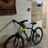 دوچرخه ویوا