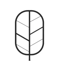 نیرو بیکری در نون کافه