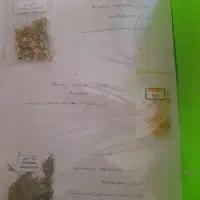 آلبوم کامل گیاهان دارویی|کتاب و مجله آموزشی|شیراز, قصرالدشت|دیوار