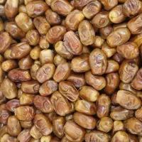 خرمای زاهدی قصب کارتن ۵ و ۱۰ کیلویی