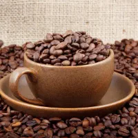 کارگر ساده آقا خانم ۲ وعده غذا/بیمه/پاداش