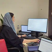 سئوکار حرفه ای،طراح سایت با برنامه نویسی و وردپرس