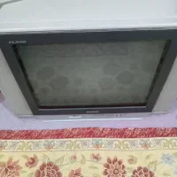 تلویزیون