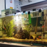 خانه اشتراکی با لوازم کامل (همخانه یا همخونه)|اجارهٔ آپارتمان|تهران, هفت حوض|دیوار