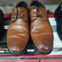 کیف وکفش|کیف، کفش، کمربند|بهارستان, |دیوار